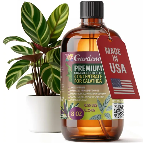 Miniatura 98 de GARDENERA Superalimento orgánico prémium de algas marinas y algas marinas para plantas AGLAONEMA, 8 onzas, concentrado de fertilizante líquido