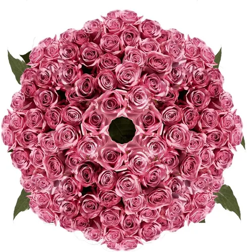 Miniatura 16 de GlobalRose Ramo de 100 Rosas Melocotón - Rosas de Origen Responsable Flores Frescas - Ramo Fresco de Flores Seleccionadas a Mano para Graduación