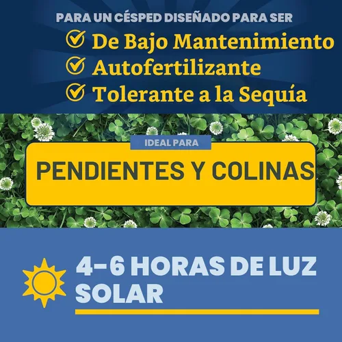 Miniatura 9 de Pennington Smart Seed - Mezcla de trébol y césped, 7 libras