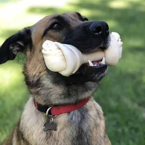 Miniatura 4 de Pet Factory American Beefhide - Golosina masticable para perro de hueso anudado de 12 pulgadas, sabor natural, 1 unidad/1 paquete