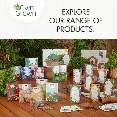 Miniatura 7 de OwnGrown Juego de cestas colgantes: 4 perchas de macramé de 37.5 pulgadas de largo - Soporte de macramé de algodón para macetas colgantes de 3 a 7.8