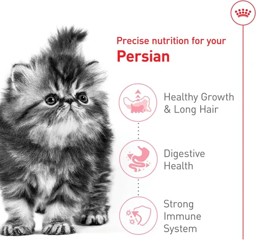 Miniatura 4 de Comida seca para gatitos persas de Royal Canin Nutrición para razas felinas, bolsa de 3 libras