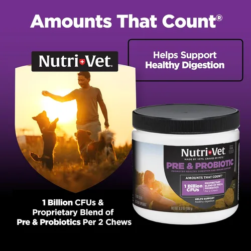 Miniatura 3 de Nutri-Vet Pre y probióticos para perros, apoyo digestivo, malestar estomacal, probiótico para cachorros, vitaminas y suplementos para mascotas