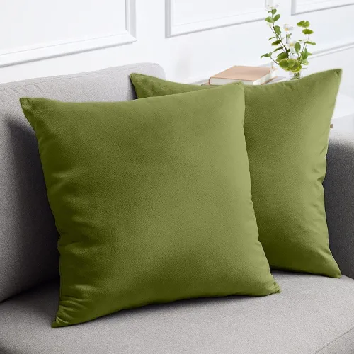 Miniatura 32 de lalaLOOM Juego de 2 fundas de almohada lujosas de terciopelo sedoso, 18 x 18 pulgadas, fundas de almohada decorativas más suaves, cremallera oculta