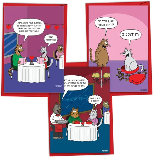 NobleWorks Paquete surtido de 3 divertidas tarjetas de felicitación para el día de San Valentín con sobres para hombres y mujeres (3 diseños, 1 cada