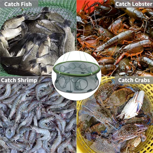 Miniatura 7 de Trampa redonda para cebo de pesca, redes de pesca de camarones plegadas portátiles, red de malla de nailon, equipo de pesca para cangrejos Minnow