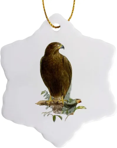 3dRose Dark Ferruginous Hawk Bird of Prey Vintage Art - Falconry Raptor... - Adornos (orn-365451-1)