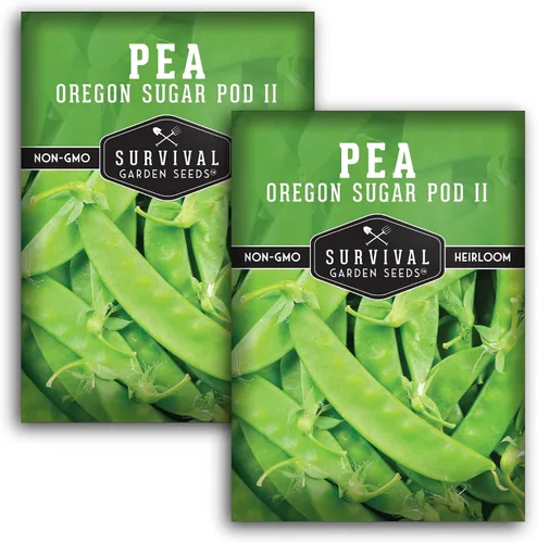Miniatura 10 de Oregon Sugar Pod II - Semillas de guisantes de nieve para plantar, vainas comestibles crujientes, guisantes de nieve estilo broche de azúcar de alto
