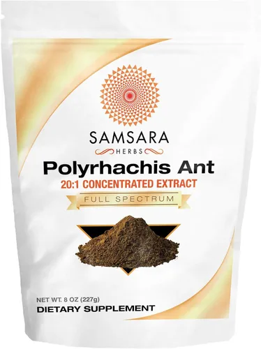 Samsara Herbs Polyrhachis Black Ant Extract Powder - Extracto concentrado 20:1 (8 oz/227 g)