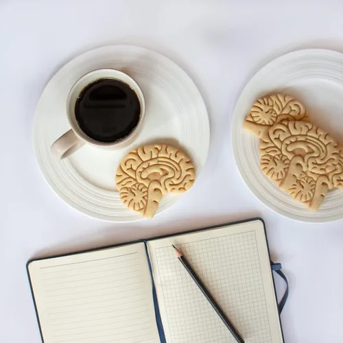 Miniatura 3 de Cortador de galletas anatómico Brain, 1 pieza - Bakerlogy