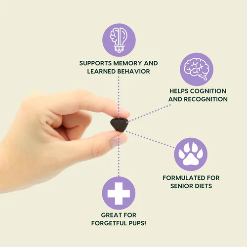 Miniatura 2 de Ark Naturals Gray Bozal Brain's Best Friend - Masticables suaves recomendados por veterinarios para problemas cognitivos asociados