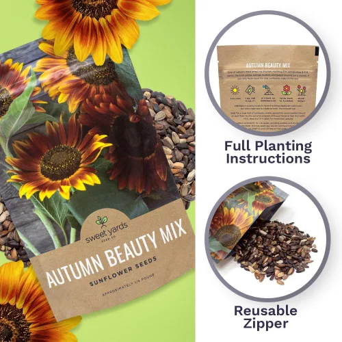Miniatura 5 de Autumn Beauty Semillas de girasol – Bolsa a granel de 1/4 de libra – Más de 5,000 semillas de flores silvestres polinizadas abiertas sin OMG