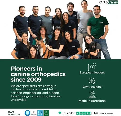 Miniatura 8 de Ortocanis Rodillera para Perro para Desgarro de LCA en Pata Trasera, Lesiones de Ligamento Cruzado, Dislocación de Rótula u Osteoartritis