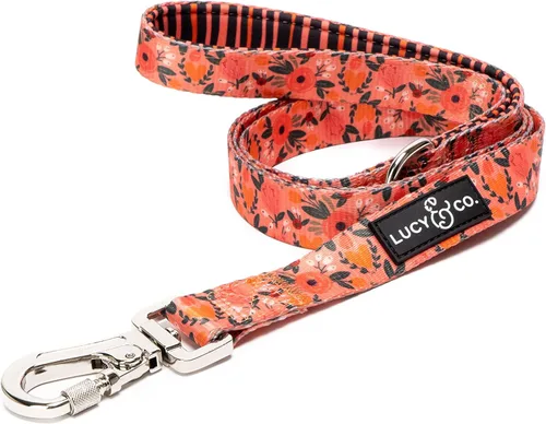 Miniatura 9 de Correa para perros de diseño Lucy & Co. - Accesorios para mascotas - Correa gruesa para perros - Asa acolchada para mayor comodidad - Entre