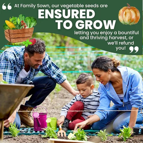 Miniatura 6 de 20 paquetes de semillas de verduras Paquete variado de supervivencia Temporada 2026 Verduras, hierbas y frutas empaquetadas individualmente