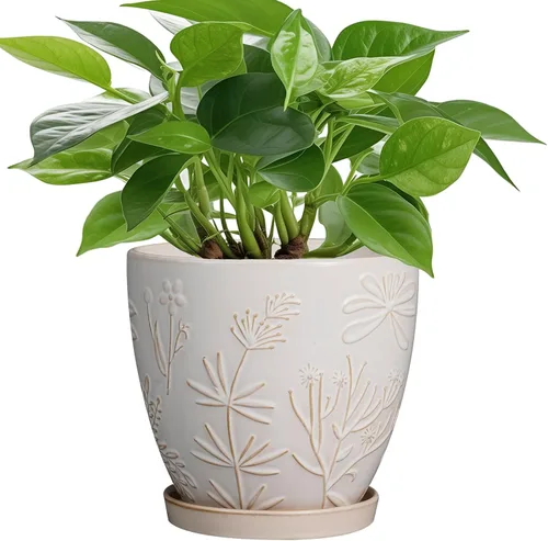 Miniatura 13 de MPotTo Maceta de 6.9 pulgadas con orificio de drenaje y platillo de cerámica para plantas de interior, maceta para orquídeas y suculentas