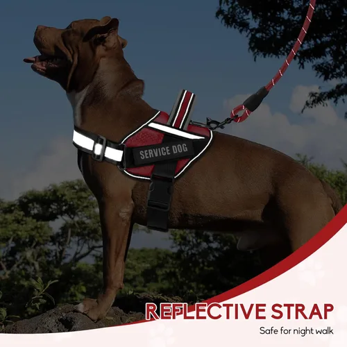 Miniatura 5 de Juego de arnés y correa para perro de servicio, arnés de entrenamiento para perro Animire con 10 parches para perros, correa reflectante para perro