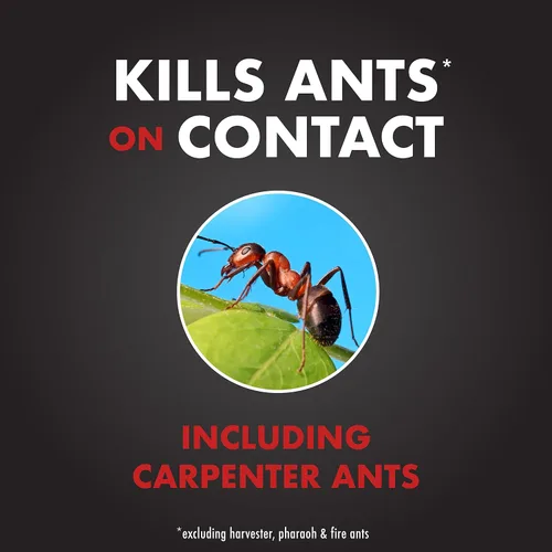 Miniatura 3 de Spectracide Ant Shield - Aerosol para matar insectos, 15 onzas, paquete de 12
