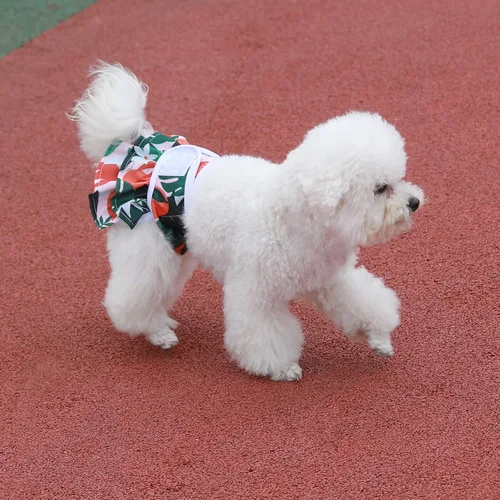 Miniatura 6 de Pañales reutilizables para perros femeninos, paquete de 3 unidades, pañales premium altamente absorbentes para perros, pañales flexibles