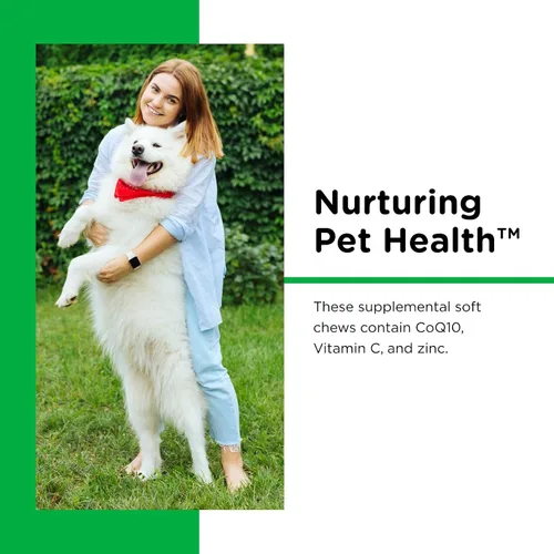 Miniatura 3 de Nutri-Vet Masticables suaves para la salud dental para perros, esenciales para cachorros, removedor de placa, suministros para mascotas, ambientador