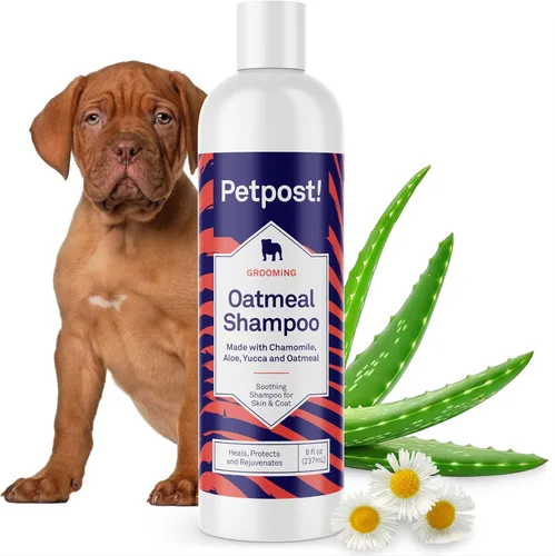 Miniatura 16 de Petpost Champú de argán para perros. Champú para perros con aceite de argán y aloe. Hidrata la piel seca, suaviza el pelaje, restaura el brillo. 8