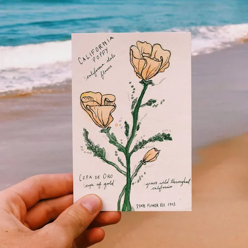 Miniatura 7 de Spiareal 100 hojas de papel de acuarela a granel de 140 libras/300 GSM, papel de construcción blanco, prensa en frío, algodón en blanco, pintura