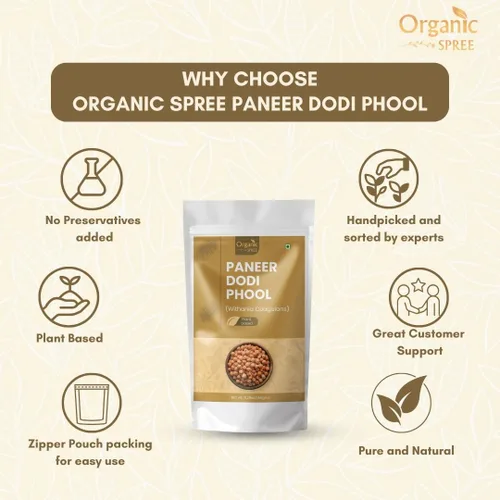 Miniatura 7 de Organic Spree Paneer Dodi Phool – Withania Coagulans 5.29 oz (150 gm) Cuajo indio puro para el bienestar natural Flor seca pura