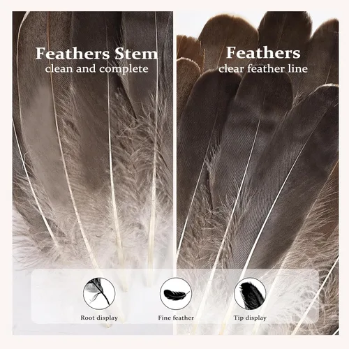 Miniatura 3 de FeelfunFeather 120 piezas de plumas de ganso gris natural de 6-8 Pulgadas 15-20cm, plumas decorativas a granel para manualidades DIY, cosplay