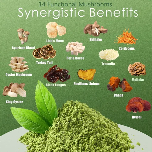 Miniatura 4 de Mushroom Matcha Latte, té verde matcha ceremonial en polvo con 14 hongos, probióticos y polvo MCT, melena de león, reishi y chaga Mezcla