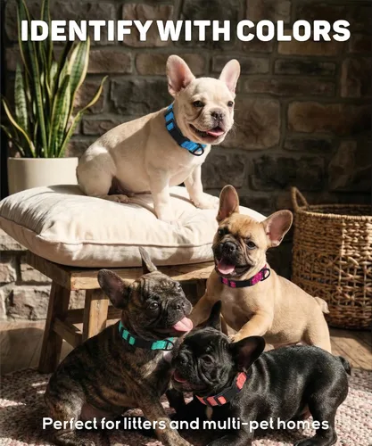 Miniatura 5 de TagME Collares de nailon reflectantes para perros, collar ajustable clásico para mascotas con hebilla de liberación rápida para perros pequeños