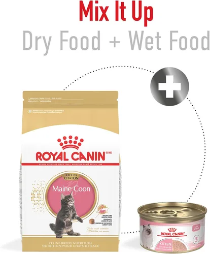 Miniatura 5 de Comida seca para gatitos persas de Royal Canin Nutrición para razas felinas, bolsa de 3 libras