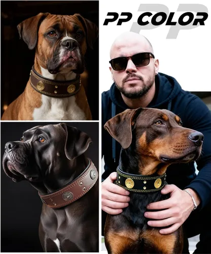 Miniatura 7 de Collar de cuero para perro, 2 pulgadas de ancho, collares de cuero genuino resistente, hecho a mano, suave y lujoso, la mejor opción llamativa