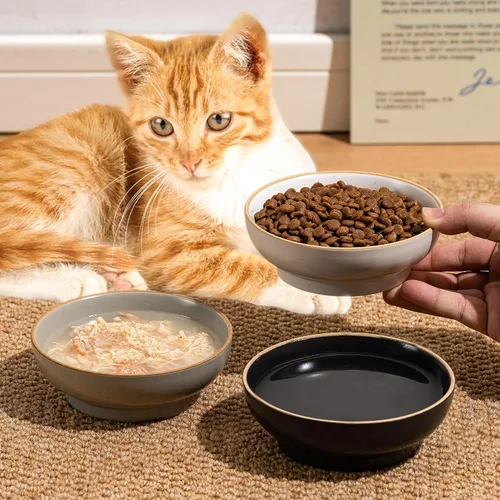 Miniatura 2 de Juego de 3 cuencos para gatos, platos antideslizantes para mascotas y gatos, cuencos de agua poco profunda, cuencos anchos para aliviar el estrés