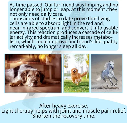 Miniatura 6 de Dispositivo de terapia de luz para mascotas, ayuda a perros y gatos a sufrir, artritis, dolor de ojo, inflamación y cicatrización de heridas, luz