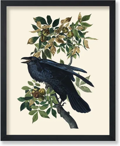 Poster Master Vintage James Audubon Póster - Impresión Retro de Cuervo - Arte de Aves de América - Arte de Aves - Regalo para Hombres, Mujeres y