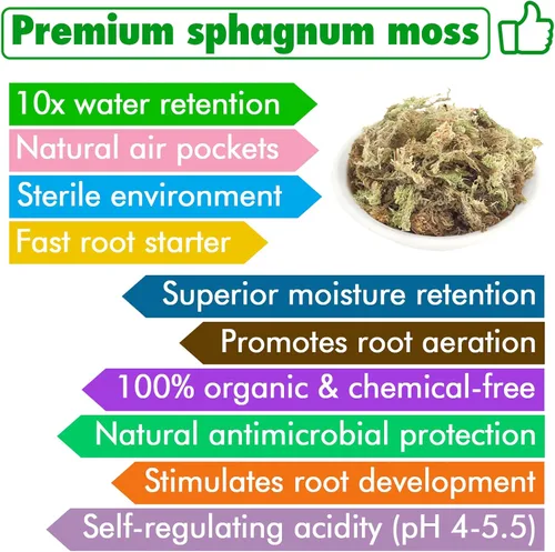 Miniatura 3 de ZeeDix Musgo Sphagnum de 4 cuartos para plantas de interior, musgo de fibra larga seca natural para trasplante de orquídeas, plantas carnívoras