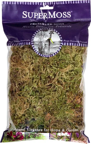 SuperMoss. Musgo de bosque conservado.