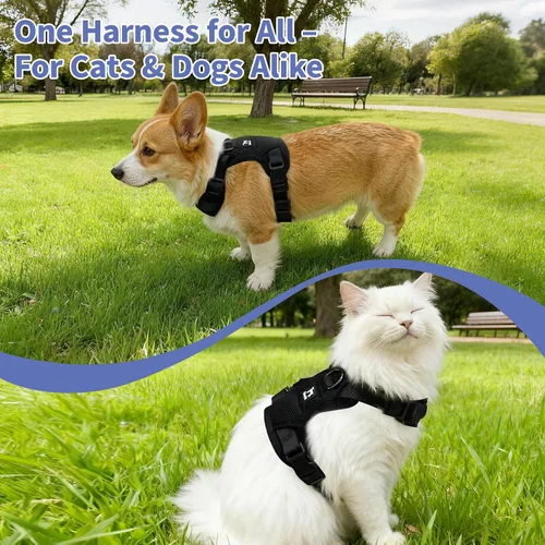 Miniatura 2 de Arnés de chaleco para perro, sin tirones y sin estrangulamiento, malla suave y transpirable, ajuste ajustable, a prueba de escapes, fácil de poner