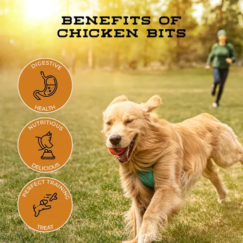 Miniatura 7 de Chicken Bits - Golosinas naturales para perros de razas pequeñas a grandes, bajas en calorías para entrenamiento, carne de grado humano, golosinas
