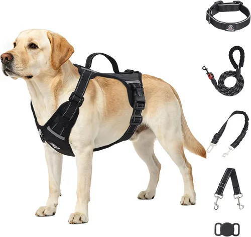 IEUUMLER Arnés para perro sin tirones, chaleco reflectante con clip frontal con correa, cinturón de seguridad y correa de seguridad de respaldo, asa
