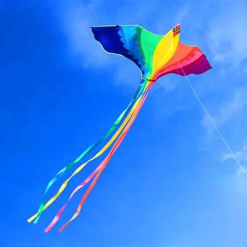 Miniatura 7 de HENGDA KITE Cometa Phoenix, para niños y adultos, fácil de volar, excelente diseño de tela y estructura, las imágenes son hermosas en alta