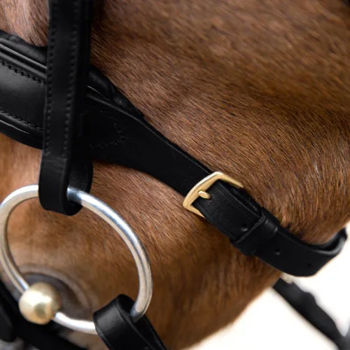 Miniatura 5 de HORZE Lester Dressage Snaffle Bridle w/Riendas