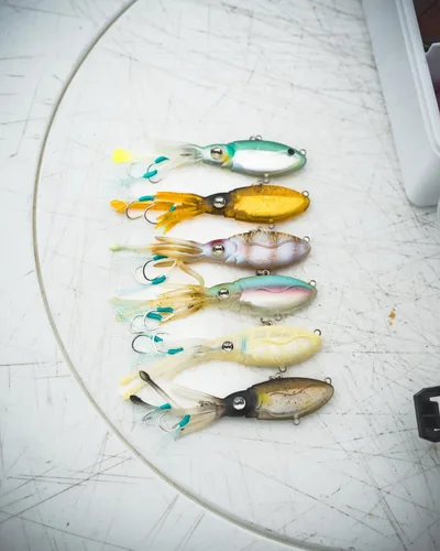 Miniatura 7 de Nomad Design Señuelo de pesca vibratorio patentado original de Squidtrex – Señuelo de plástico suave TPE con aroma añadido para agua salada