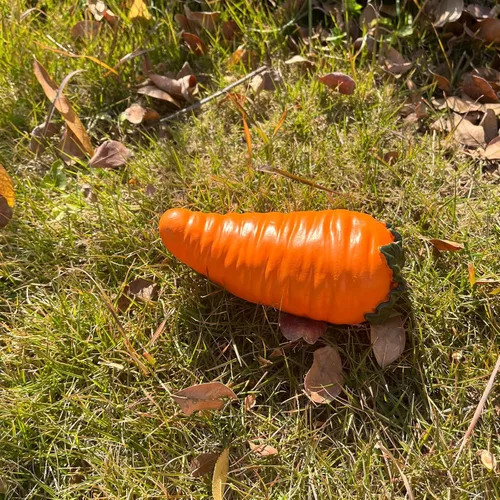 Miniatura 5 de Ocultar una llave afuera, ocultador de llaves de repuesto para exteriores, zanahoria falsa de jardín secreto