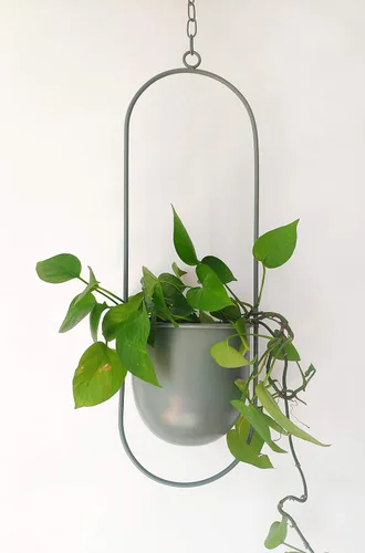 RISEON Colgador de Plantas de Metal Verde Boho, Maceta Colgante de Metal para Pared y Techo, Maceta Moderna, Soporte de Maceta de Flores de Mediados