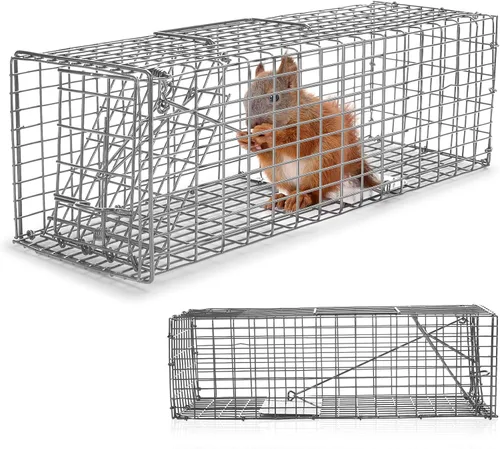 Qualirey 1 trampa para ardillas humanitarias, resistente para animales vivos, captura y liberación, trampa para ratas para animales pequeños al aire