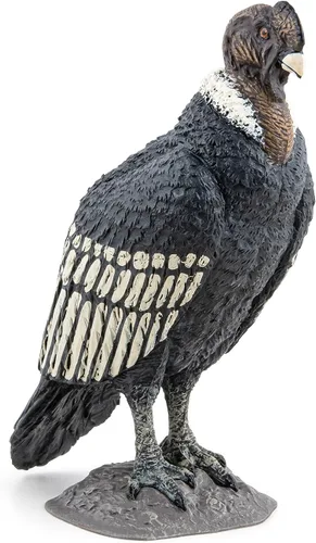 Papo - Figura realista de cóndor - A partir de 3 años - Colección Wild Life - Juego educativo de aves de presa - Juguete de idea de regalo para