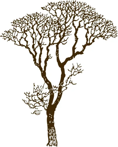 Miniatura 3 de Adhesivo decorativo para pared, diseño de ramas de árbol desnudo, negro, 6 pies de alto (72 pulgadas de alto x 58 pulgadas de ancho). Fácil