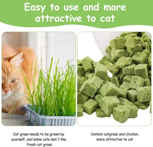 Miniatura 9 de 60g de hierba gatera para gatos, snacks de hierba gatera deshidratados al congelar para la dentición de gatitos, juguetes masticables comestibles