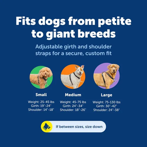 Miniatura 5 de PetSafe Arnés 3 en 1 con correa de control de dos puntos, arnés sin tirones, pequeño, negro, ajustable